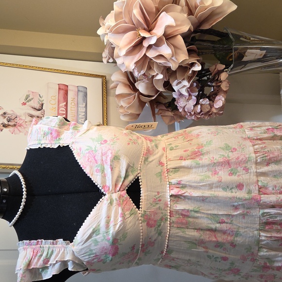 Nwt XL & Large Trixxy Chic Floral Maxi Dress in Pink - Picture 3 of 17